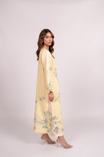 Load image into Gallery viewer, Afshin B