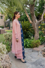 Load image into Gallery viewer, Daphne