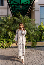 Load image into Gallery viewer, Veena (B)
