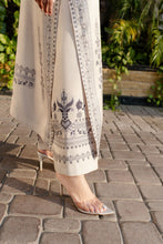 Load image into Gallery viewer, Veena (B)
